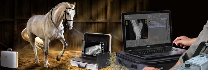 X-ray units and systems for equine specialists