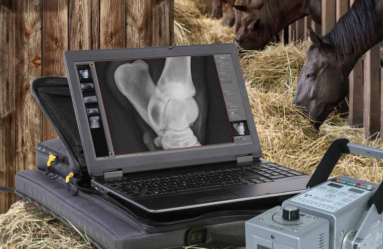 innovative X-ray systems and customized image management (PACS) in equine and small animal veterinary care 