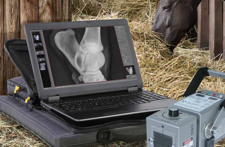 Professional X-ray software: Acquisition and diagnostic software for static and dynamic X-ray images